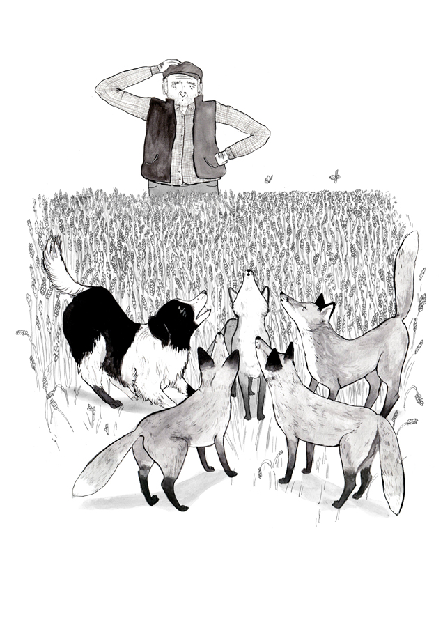 The four foxes run to the farm and with Tilly, Farmer Martin’s dog, try to persuade him to follow them – an illustration from Busy Bee and the Silent Spring